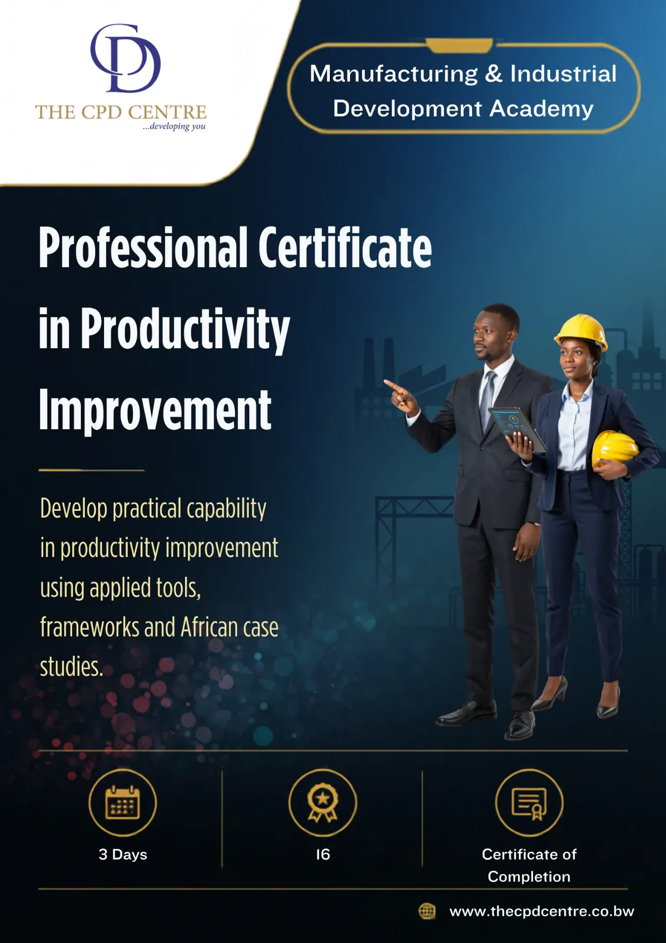 Professional Certificate in Productivity Improvement